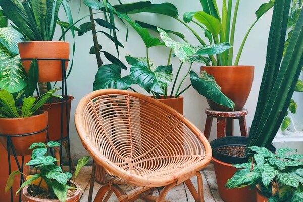 Apartment balcony garden by Sasyaprada