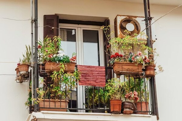 Apartment balcony plants by Sasyaprada