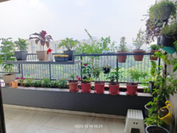 Apartment lawn after landscaping by Sasyaprada