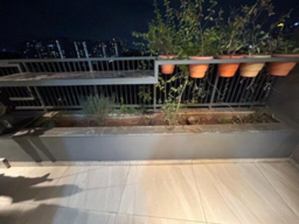 Apartment lawn before landscaping